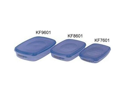【聯府 KEYWAY】KF860-1 優鮮保鮮盒 4號(3L)